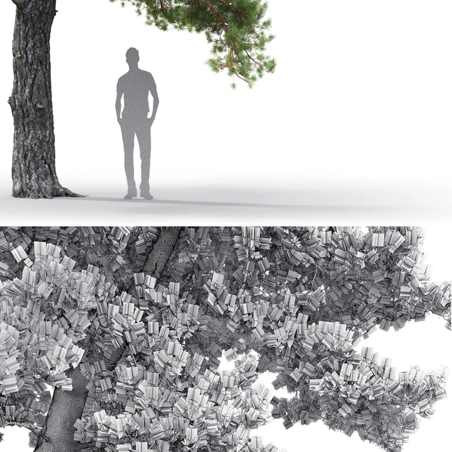 Pine — Descargar