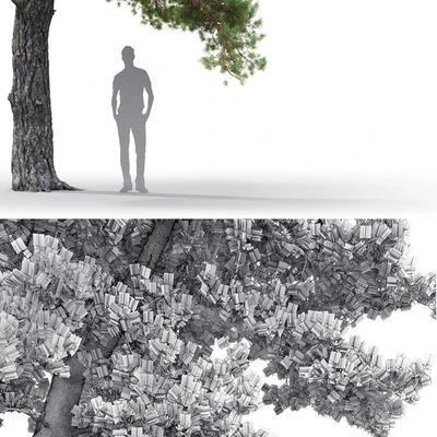 Pine — Ver 2