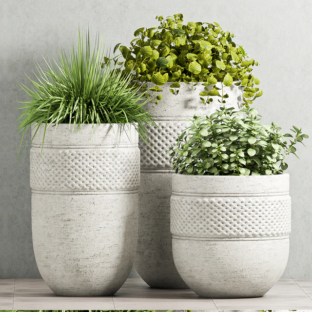 PLANT SET - 67 — Скачать