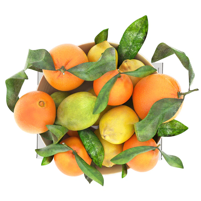 bowl of lemon mandarin and orange — Descargar