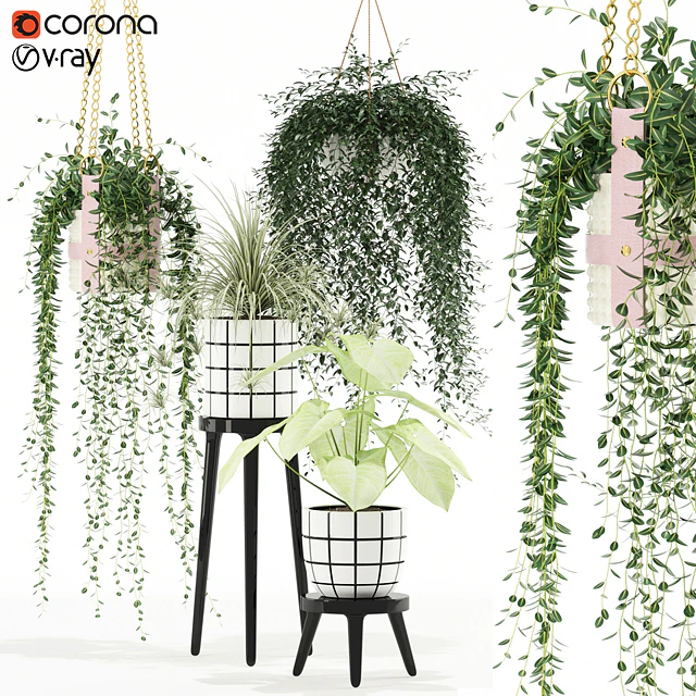Plants collection 121 — Descargar