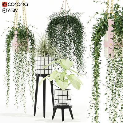 Plants collection 121 — Ver 1