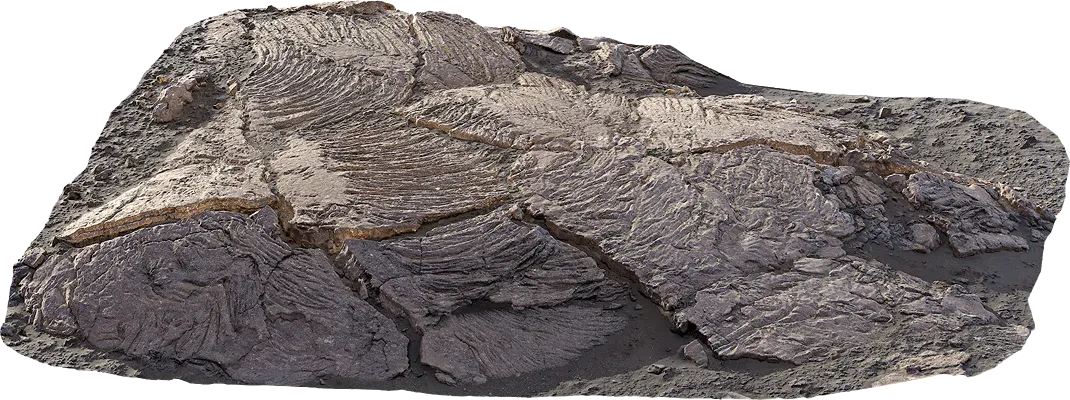 icelandic rocky ground 022 — Download
