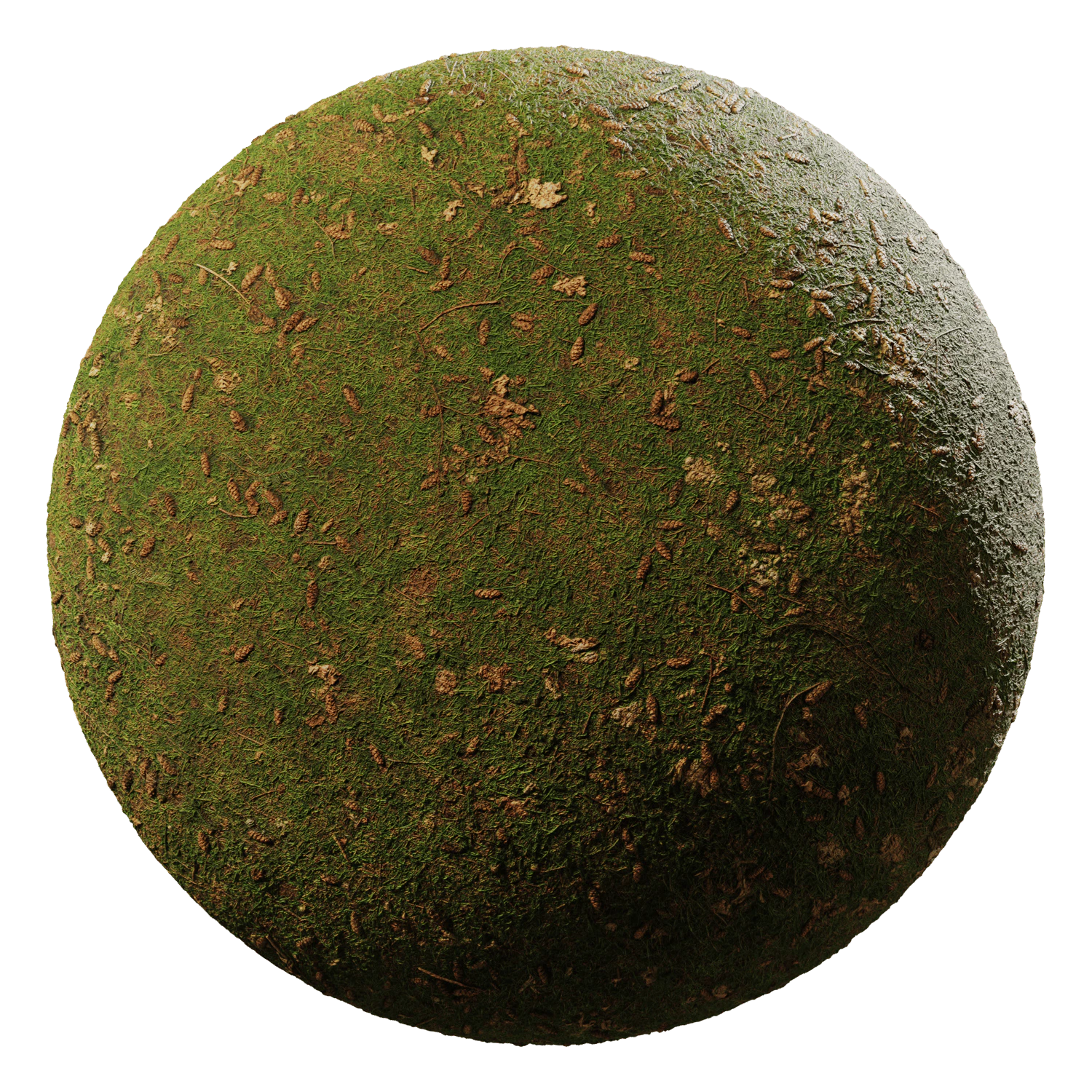 grass green pinecones 001 — Descargar