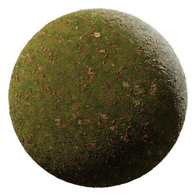 grass green pinecones 001 — Descargar