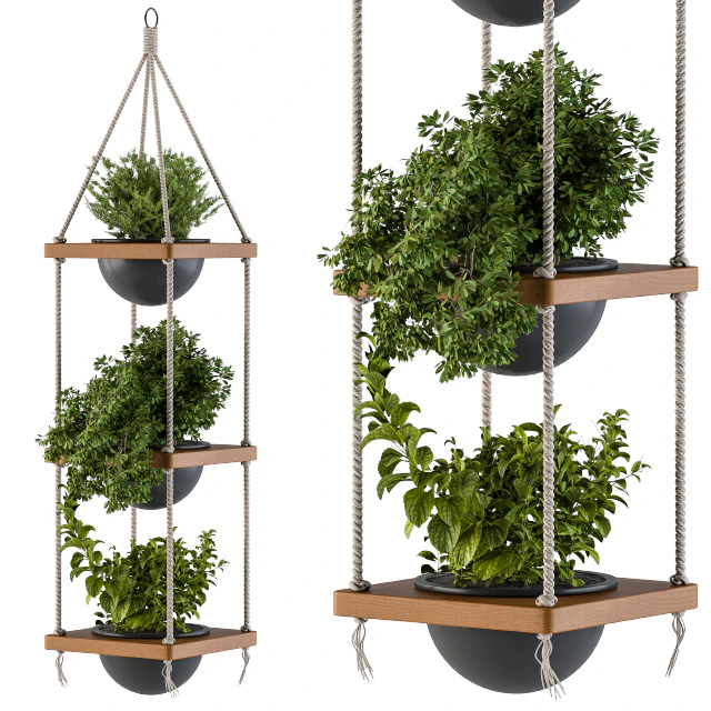 Hanging Plants Rope and Wood — Скачать
