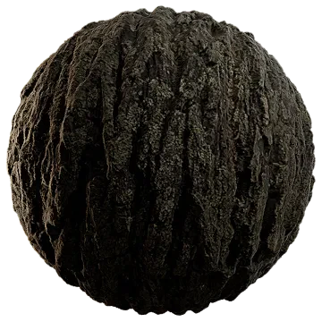 mossy tree bark 002 — Descargar