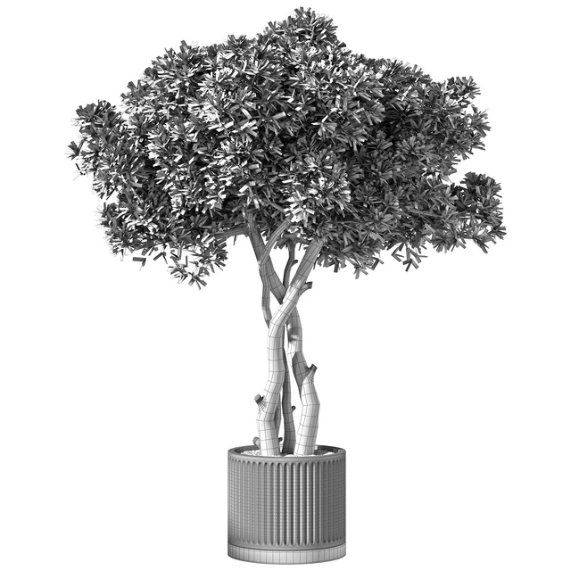 Indoor Plant Set.106 — Descargar