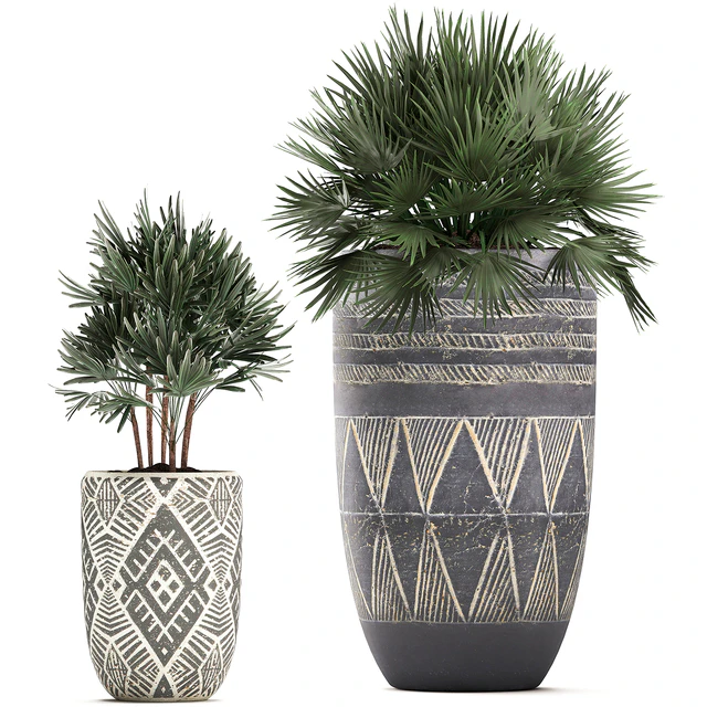 Collection of small plants in ethnic aged pots with coconut nutsifera, fan palm, Rhapis . Set 475. — Descargar