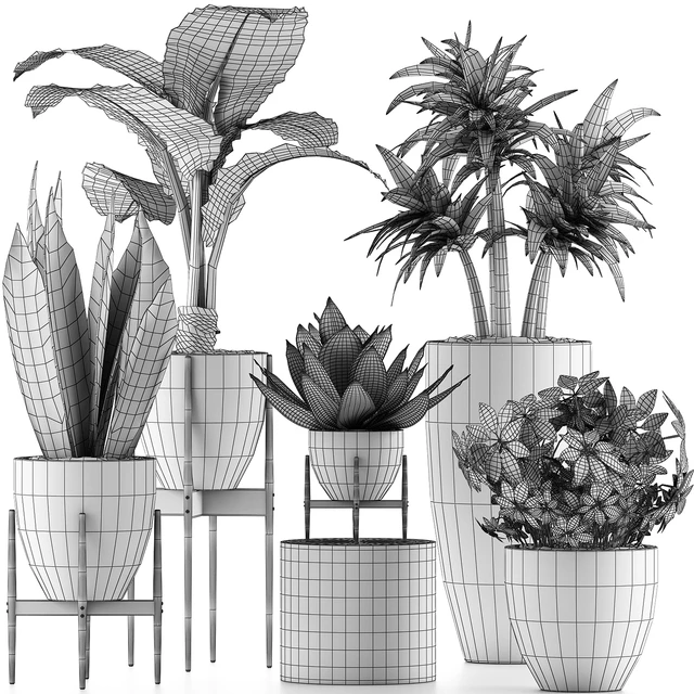Plants Collection 37 — Descargar