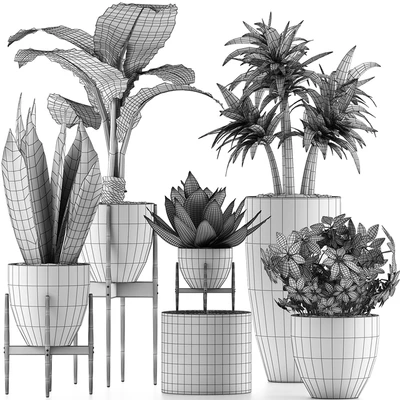 Plants Collection 37 — Ver 2