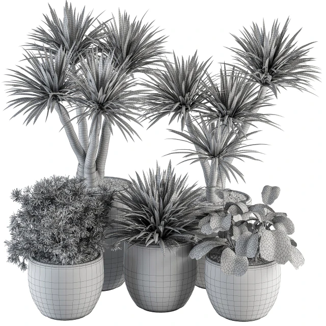 indoor Plant Set 313 - Yuka Tree and Plant Set in White pot — Descargar