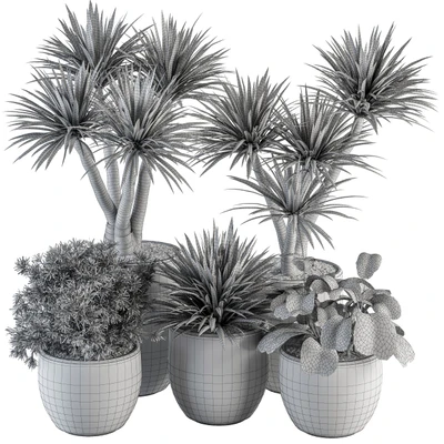 indoor Plant Set 313 - Yuka Tree and Plant Set in White pot — Ver 3