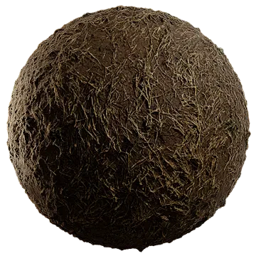dried grass on damp soil 010 — Descargar