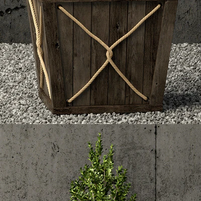 Plants collection 64 — Вид 2