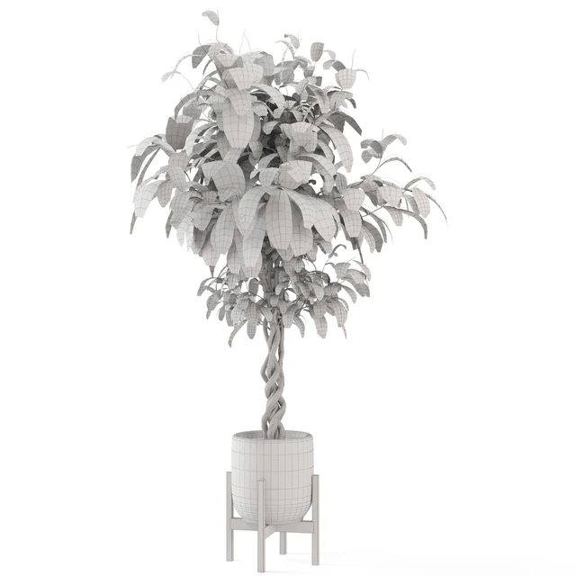 Indoor Plants in Combination of wood & concrete Pot - Set 301 — Descargar