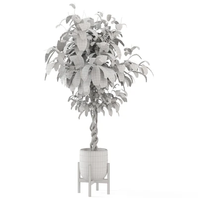 Indoor Plants in Combination of wood & concrete Pot - Set 301 — Ver 2