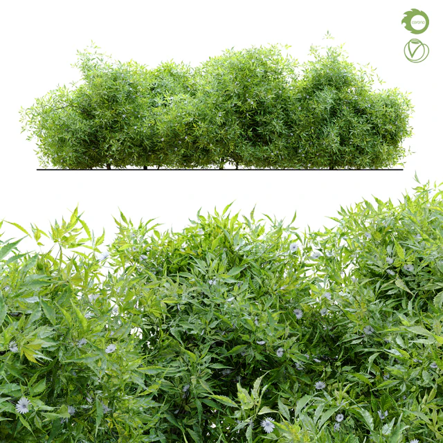 Bush 4 — Скачать