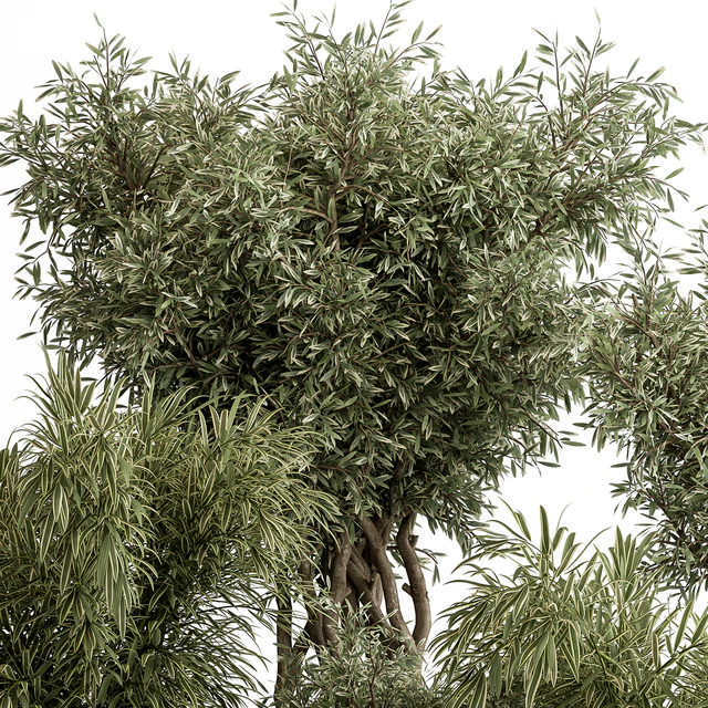 indoor Plant Set 417 - Tree and Bush — Descargar