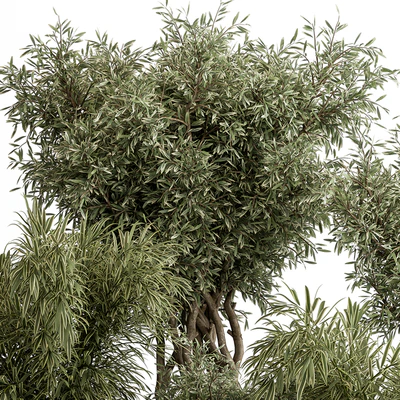 indoor Plant Set 417 - Tree and Bush — Ver 2