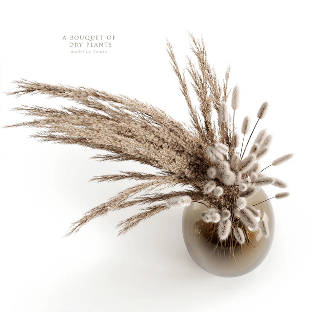 A bouquet of dry plants — Descargar