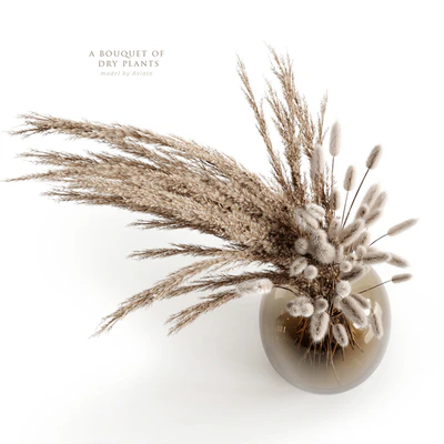 A bouquet of dry plants — Ver 2
