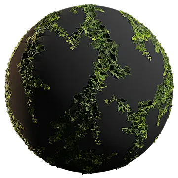 ivy 016 — Скачать