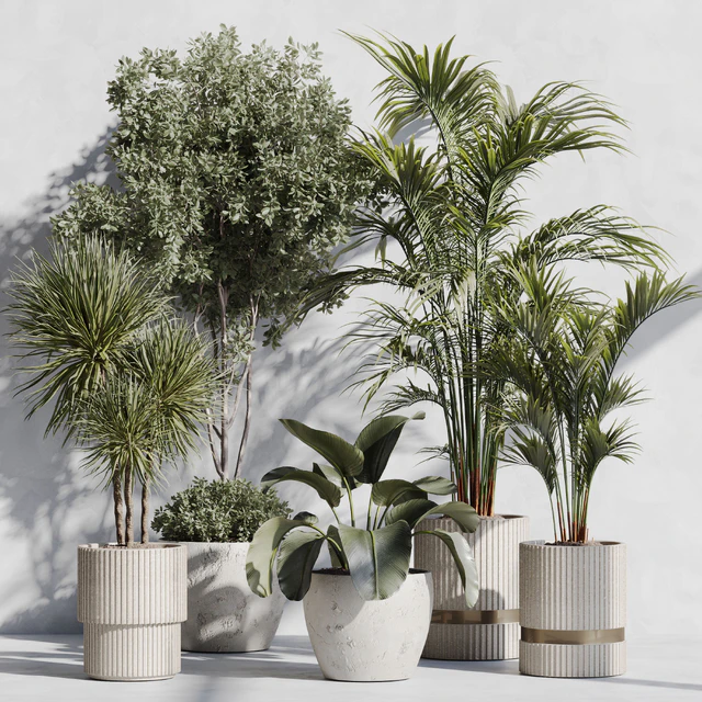 Indoor Plant Set 89 — Скачать