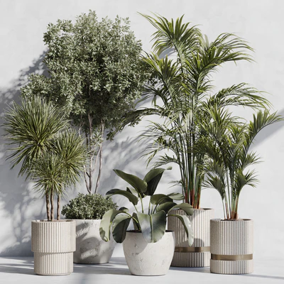 Indoor Plant Set 89 — Вид 1