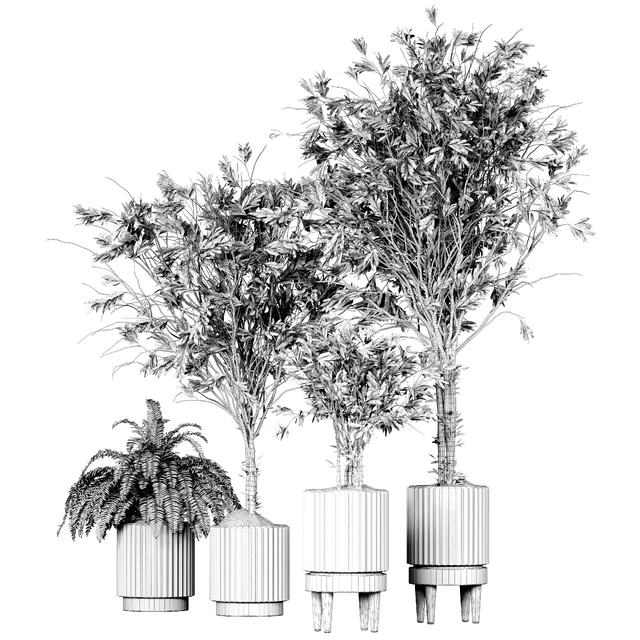 Collection plant 05 — Descargar