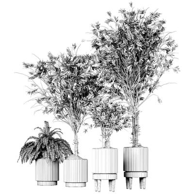 Collection plant 05 — Ver 2