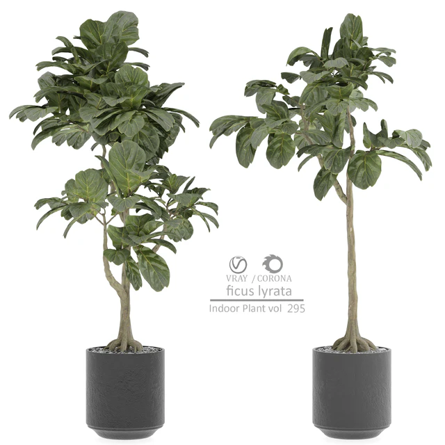 indoor Plant 295 — Descargar
