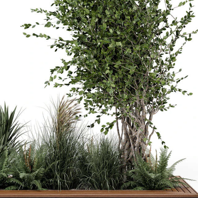 Outdoor Garden set bush and Tree - Garden Set 361 — Descargar