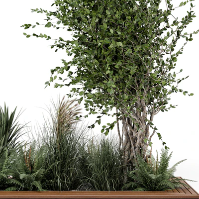 Outdoor Garden set bush and Tree - Garden Set 361 — Ver 3