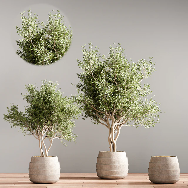 indoor plant stand 40 — Descargar