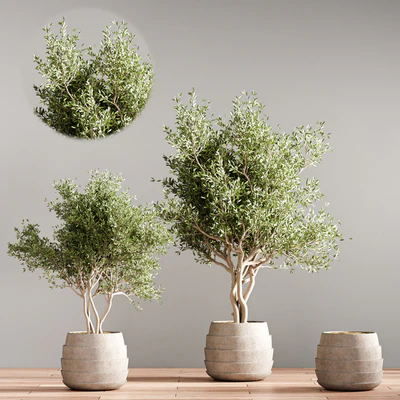 indoor plant stand 40 — Ver 2