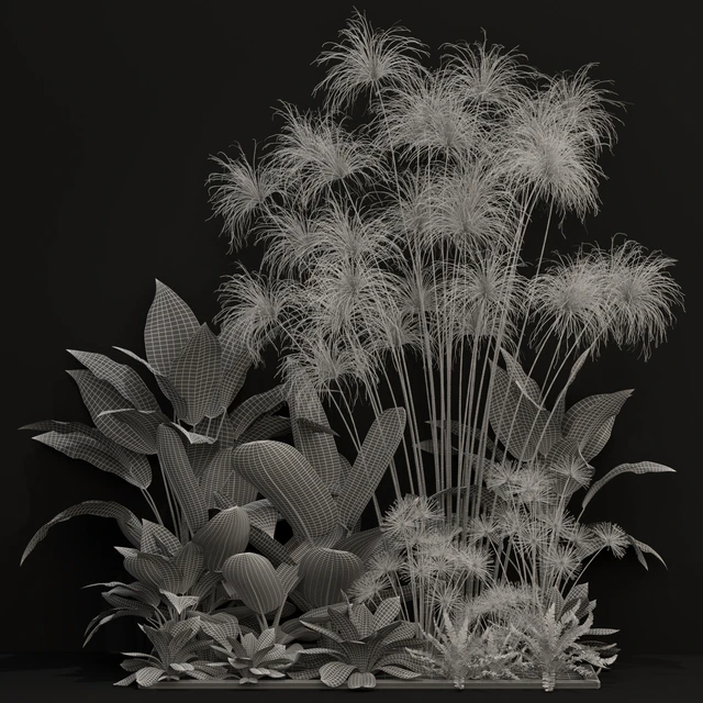 Plants collection 241 — Descargar