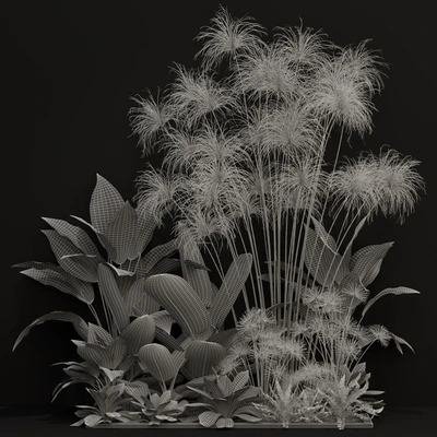 Plants collection 241 — Ver 2