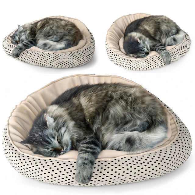 Cat — Descargar