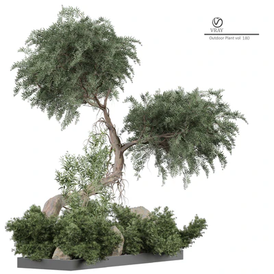 Outdoor Plant 180 — Ver 2