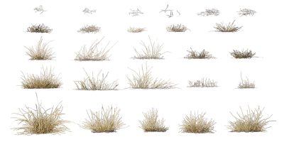 wild grass 004 — Скачать