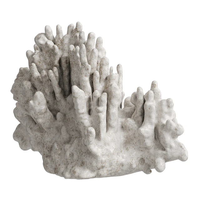 Regina Andrew White Resin Coral Decorative Sculpture — Descargar