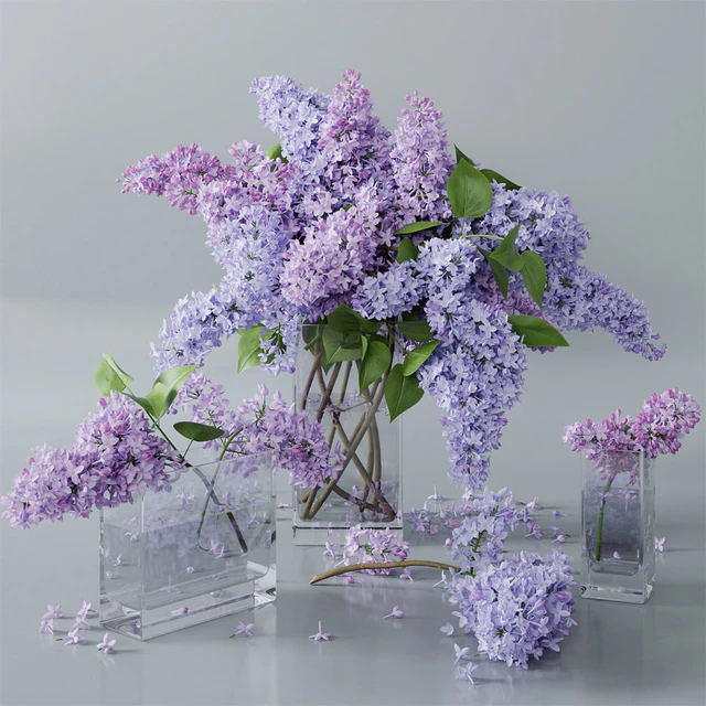 lilac 4 — Descargar