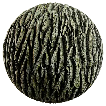 old oak 003 — Descargar