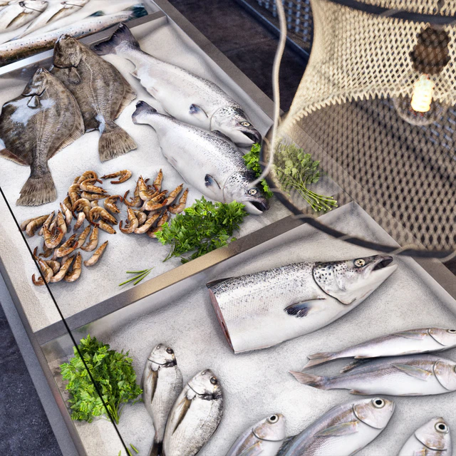 Showcase with fish and seafood — Descargar