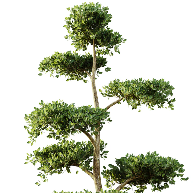 tree set 04 — Скачать