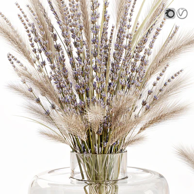 Dry flowers in glass vase with lavender — Ver 2