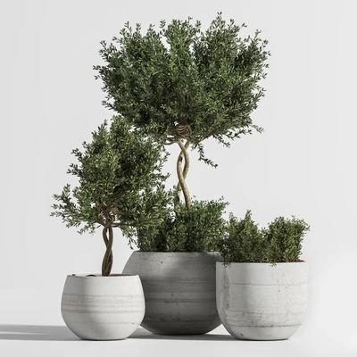 Plant Indoor with Concrete Leaf — Вид 1