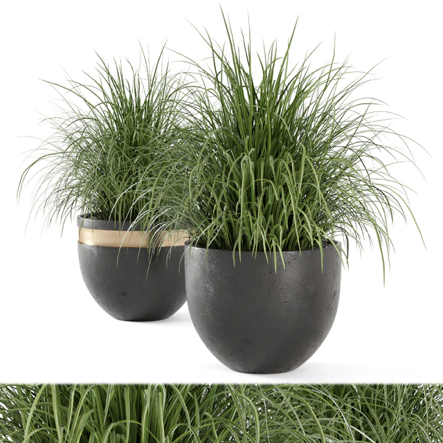 Outdoor Plants Bush  in rusty Concrete Pot - Set 186 — Скачать