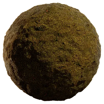 icelandic moss 002 — Descargar